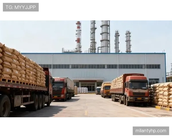 界外判定规则详解：关键判定条件与常见误区解析